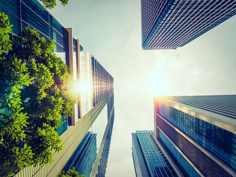 The Rise of Sustainable Builders: Transforming Spaces with Environmental Responsibility